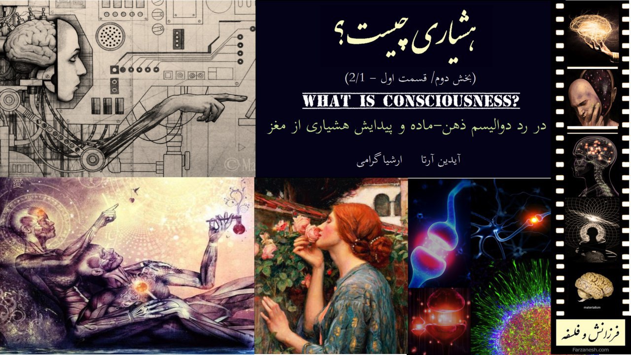 What Is Consciousness? — Part Two, Section One