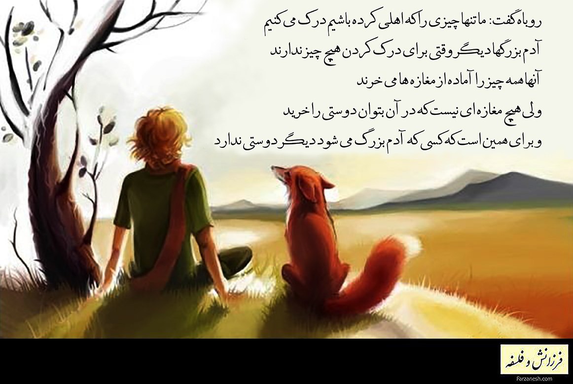 The Fox Said: We Understand Only What We Have Tamed