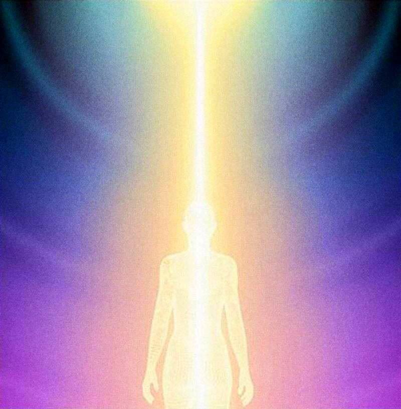 Logos, Transcendence and the Human Being in Plato